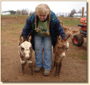 Pony-Tail and her forever friend, Bee Sting