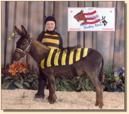 Rembrandt Youth Costume Class Shelbyville 2007