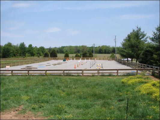 Our new arena at Half Ass Acres Miniature Donkey Farm