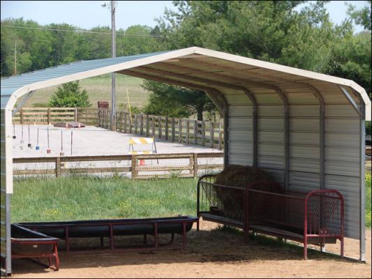 Our new arena at Half Ass Acres Miniature Donkey Farm