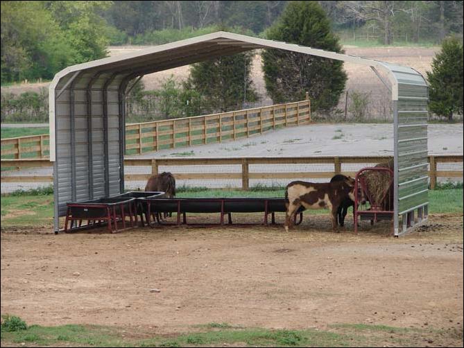 Feeding Sheds at Half Ass Acres Miniature Donkey Farm