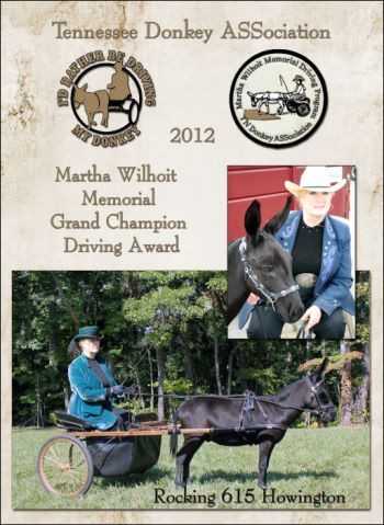 Grand Champion Driving Donkey