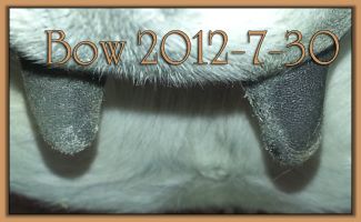 Bow 2012-7-30 @ 7am