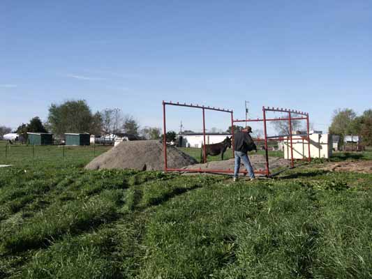 Half Ass Acres Miniature Donkey Farm New Turn Out Shed