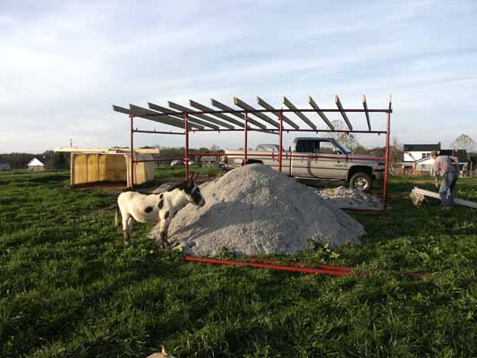 Half Ass Acres Miniature Donkey Farm New Turn Out Shed