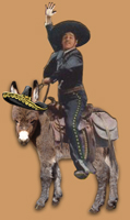 The Cisco Kid - copyright Half Ass Acres Miniature Donkeys - Do Not Steal!