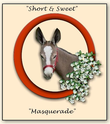 Short & Sweet Masquerade