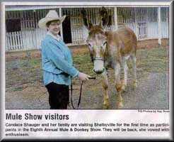 miniature donkey newspaper