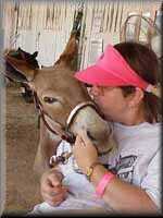 miniature donkey Starlena